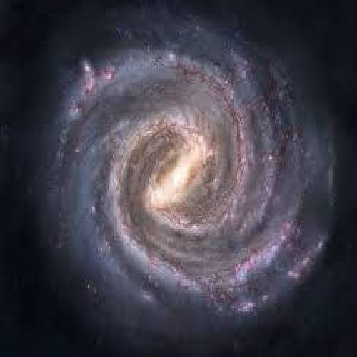  بگو دیوونمی دیوونتم بگو میمیری برام میمیرم برات خرتم سگتم